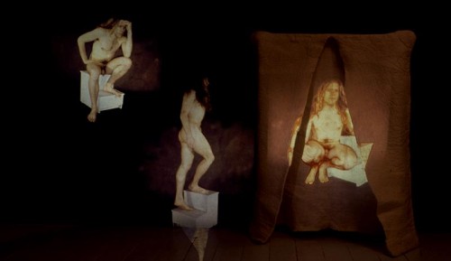 Fotograf: Erik Balle Poulsen
Værk  titel: Homo Sapiens II 
Værk  type: Installation 
Materiale: Filt + dias 
Størrelse: 30 x 130 x 350 cm 
Færdiggjort: 1997 