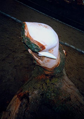 Fotograf: Eget foto
Værk  titel: Blæksprutte med sildehaj - detalje 
Værk  type: Skulptur 
Materiale: Asketræ/bladsølv 
Færdiggjort: 1999 