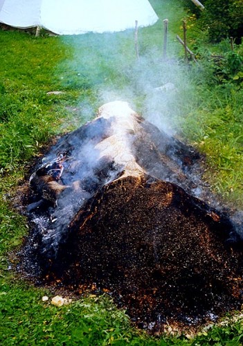 Fotograf: Eget foto
Værk  titel: Offerdyr/himmelhund 
Værk  type: Skulptur 
Materiale: Kastanjetræ 
Størrelse: 200x40x60 cm 
Færdiggjort: 1999 
&Oslash;vrigt: Brændt  -september 1999 