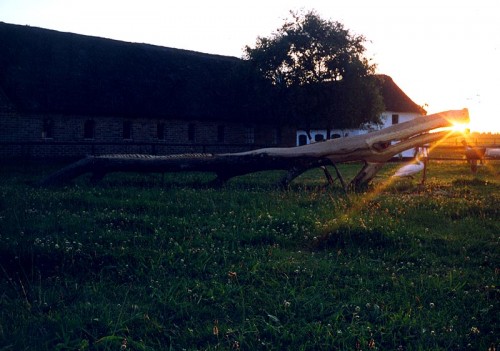 0160052.jpg