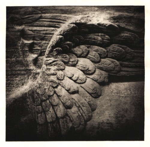 Fotograf: Bo Asboe
Værk  titel: Uden titel 
Værk  type: Fotografi 
Materiale: Fotogravure, kobbertryk 
Størrelse: 27x26 cm 
Færdiggjort: 1994/96 