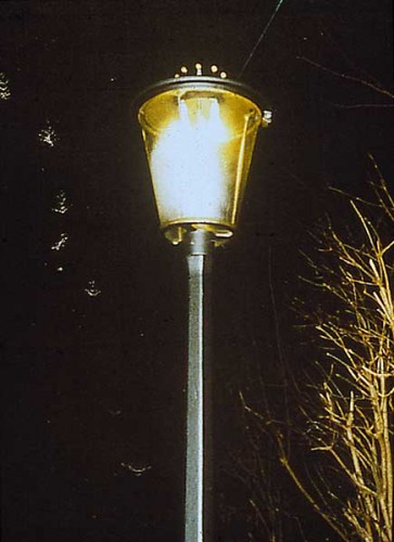 Fotograf: Eget foto
Værk  titel: Tranekær lampen 
Værk  type: Skulptur 
Materiale: Støbejern, glas, stål og guld 
Størrelse: højde 300 cm 
Færdiggjort: 1999 
Placering: Tranekær By   &Oslash;vrigt: 46 stk. i alt placeret i Tranekær By 