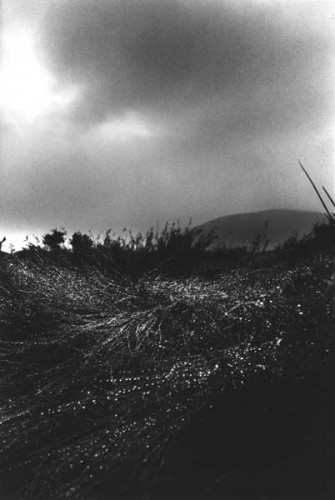 Fotograf: Eget foto
Værk  titel: Efter regn 
Værk  type: Fotografi 
Materiale: Barytpapir 
Størrelse: 17 x 25 cm 
Færdiggjort: 1997 