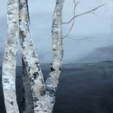 201630x404traeer.jpgweb