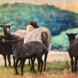 E2161D69-42CF-4C39-9A22-3CD51214C384