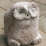 Billund-ugleunge-Schweitz