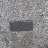 DSCI0009