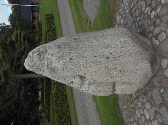 DSCI0011