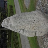 DSCI0011