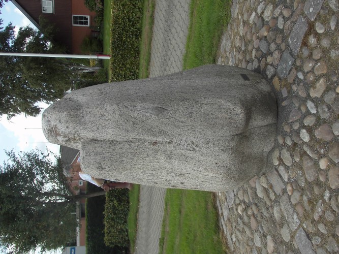 DSCI0012
