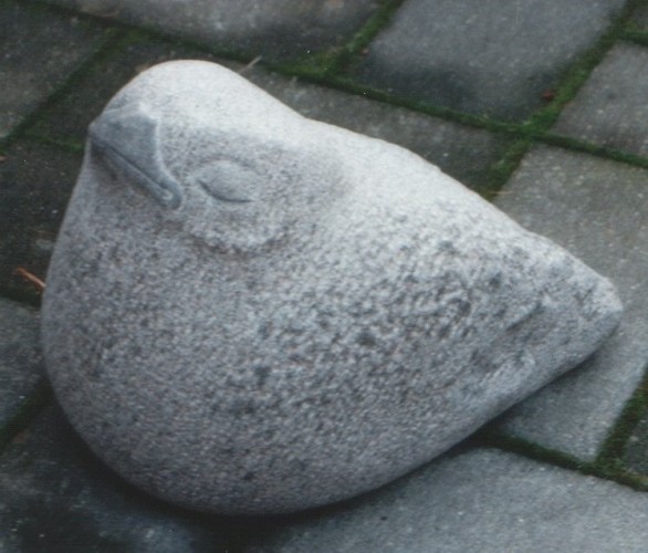 Fugl-Skare2.jpg