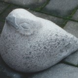 Fugl-Skare2