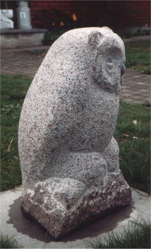 Kvickly-ugle_1.jpg