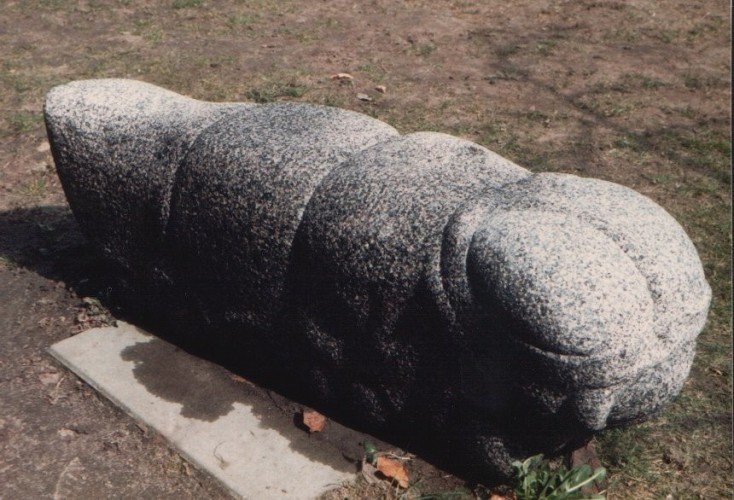 Larve-Olgod1.jpg