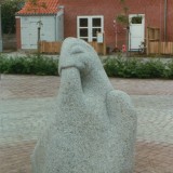 Rindom-Narcis2