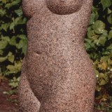 Torso1