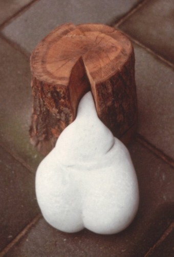 Wilslevorganisk5