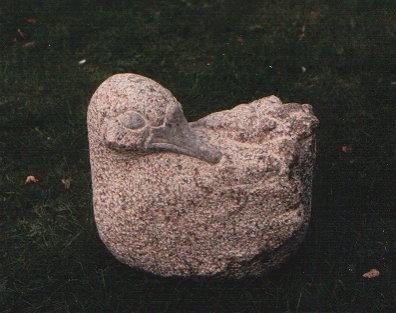 and-med-fjer2.jpg
