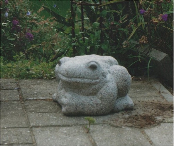 fro8.jpg