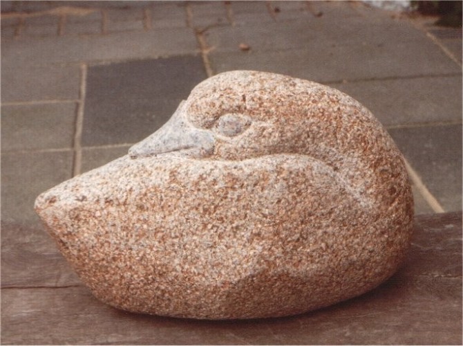 fugl_4.jpg