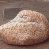 fugl_4