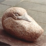 fugl_5