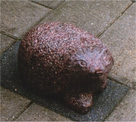 pindsvin_1.jpg