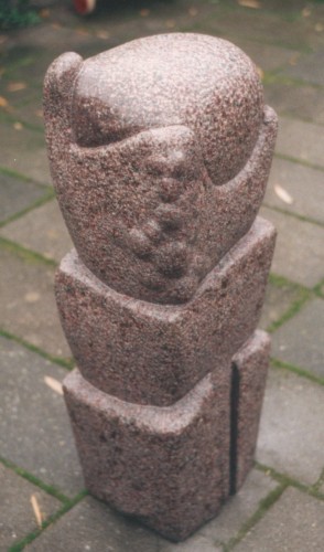 plantesojle2.jpg